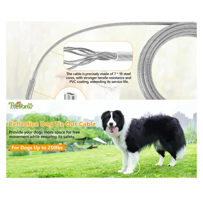Double-Headed Dog Tie Out Cable Leash – Heavy Duty Steel Wire Outdoor Training Traction Rope