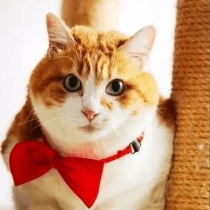 Adjustable Pet Bowtie Collar for Dogs and Cats – Stylish Bow Tie Neck Collar for Small Medium Large Pets