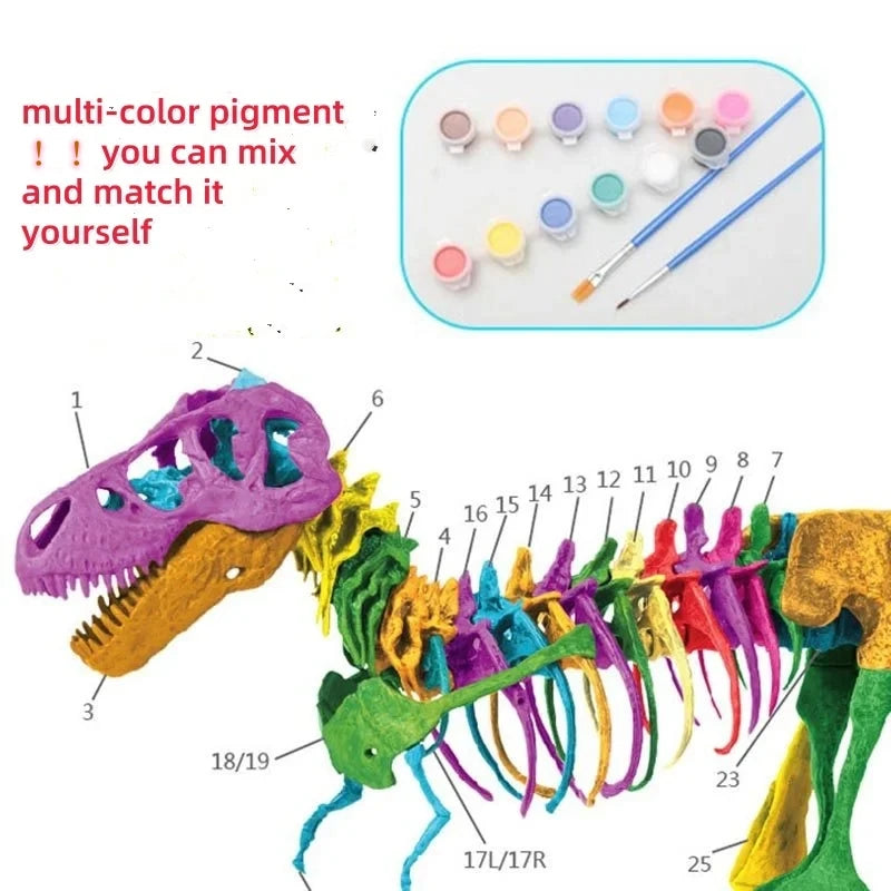 70cm DIY T-Rex Dinosaur Skeleton Model – Jurassic Fossil Assembly Ornament