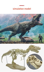 70cm DIY T-Rex Dinosaur Skeleton Model – Jurassic Fossil Assembly Ornament
