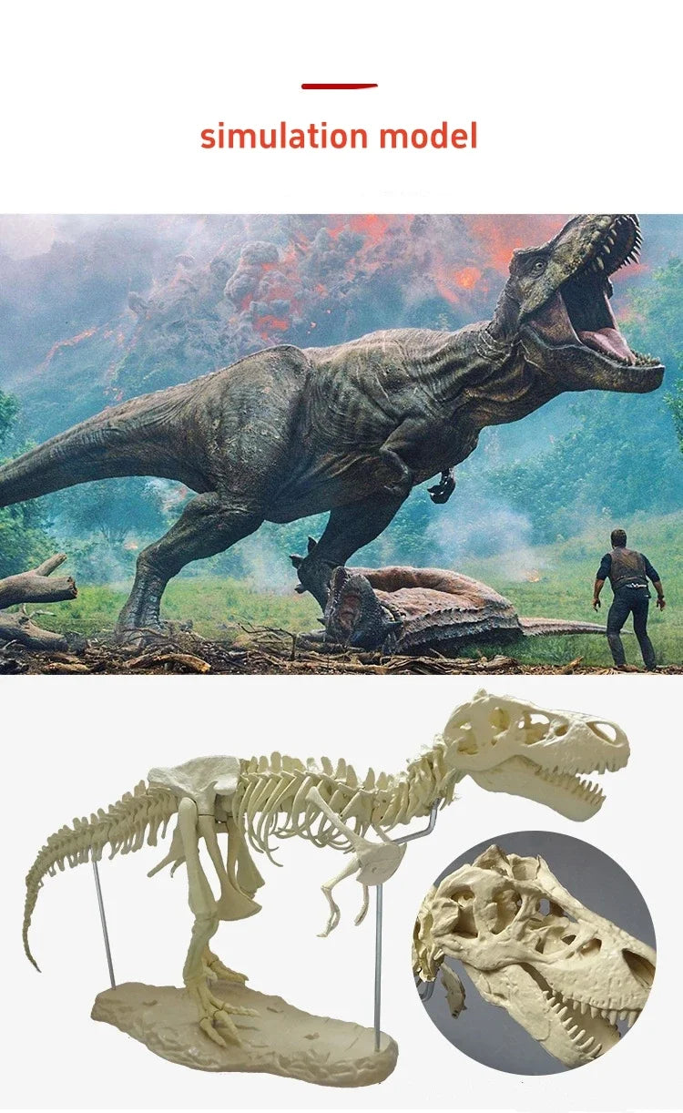 70cm DIY T-Rex Dinosaur Skeleton Model – Jurassic Fossil Assembly Ornament
