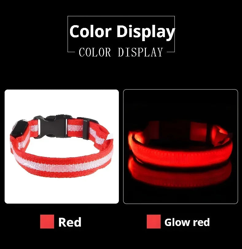 LED Nylon Dog Collar – Flashing Glow in the Dark Night Safety Collar for Dogs