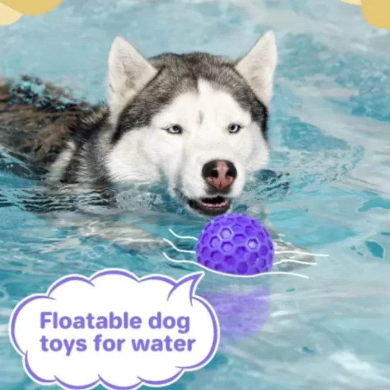 Indestructible Rubber Ball Dog Toy – Interactive Chew & Teeth Cleaning Toy