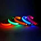 LED Nylon Dog Collar – Flashing Glow in the Dark Night Safety Collar for Dogs