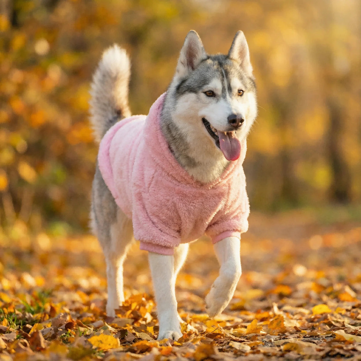 Winter Pet Dog Clothes Fleece Warm Hoodie For Medium Large Dogs Soft Dog Plush Outdoor Coat Labrador Golden Retriever Clothing