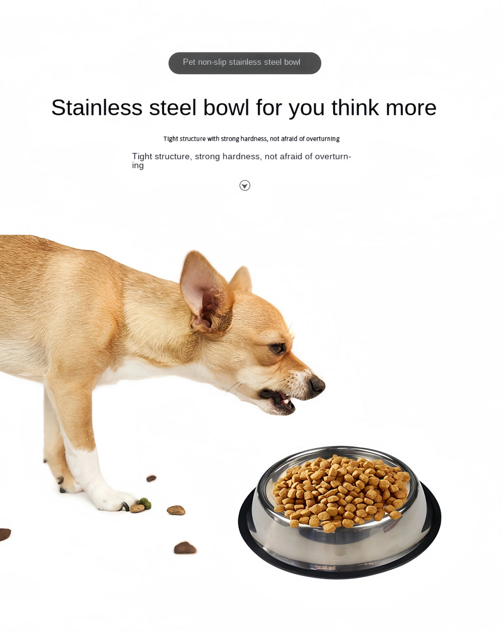 Stainless Steel Pet Bowl – Durable & Easy to Clean (6 Sizes)
