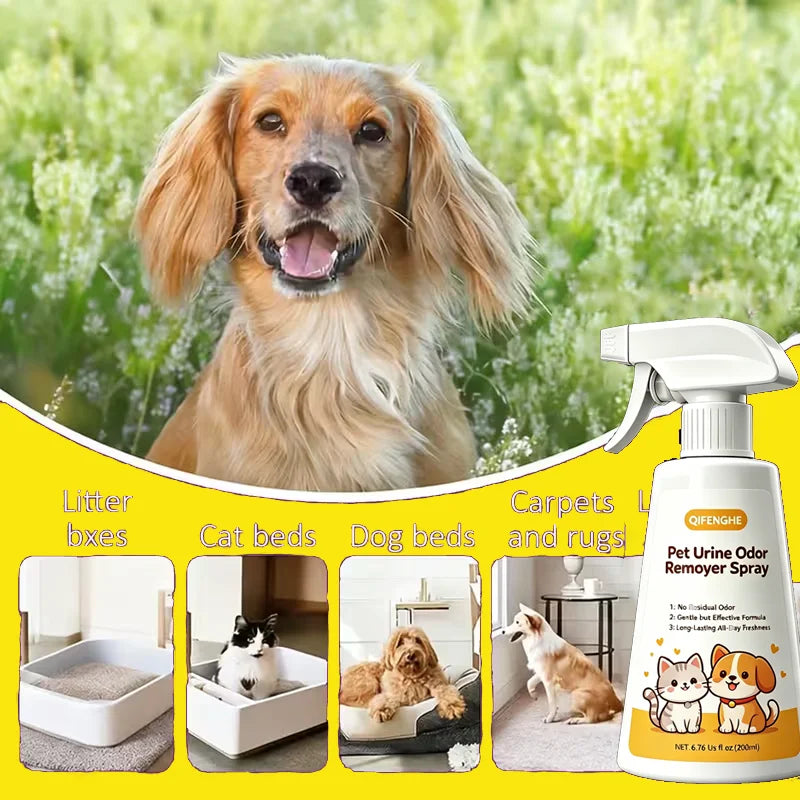 Pet Urine Odor Remover Spray – Home Odor Neutralizer & Freshness Spray for Dogs, Cats, Carpets & Furniture