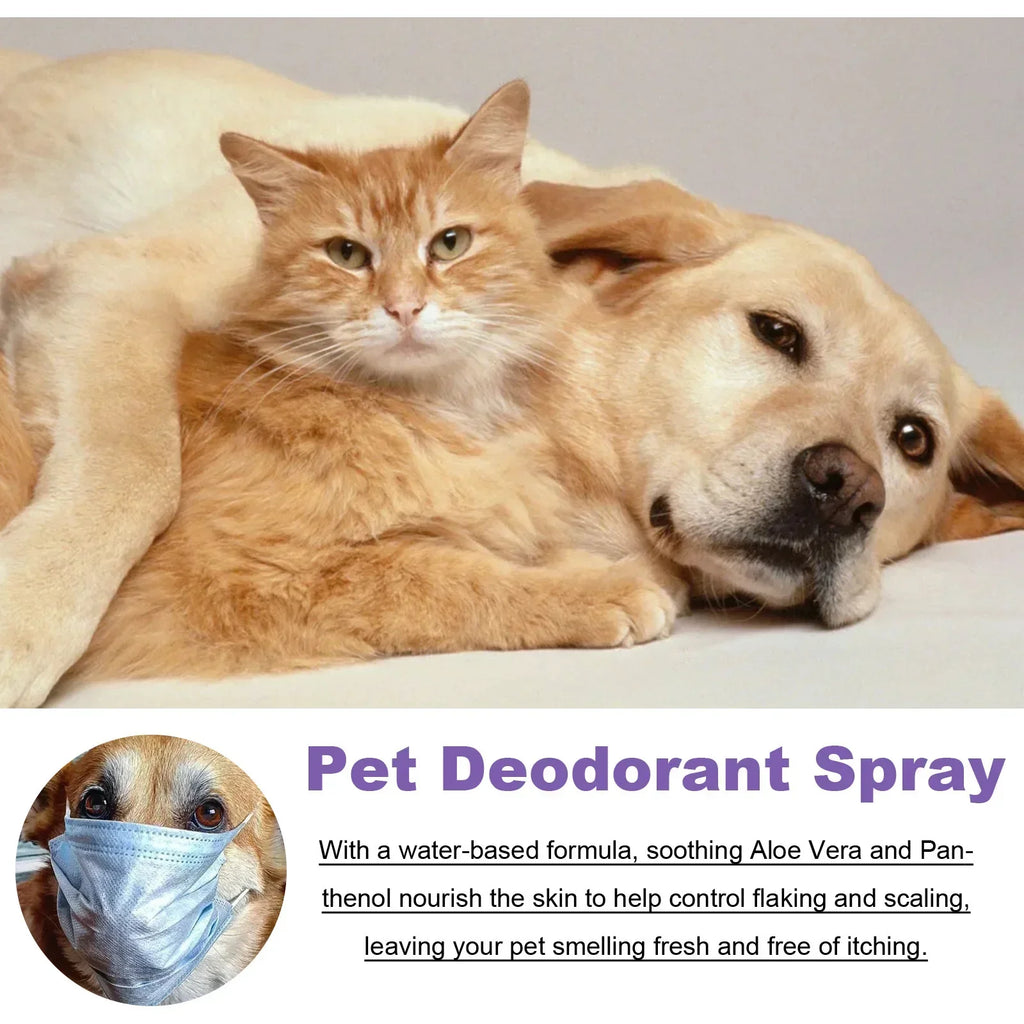 Lavender Pet Deodorization Spray 50ml – Natural Dog and Cat Perfume, Odor Remover & Coat Freshener