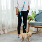Hands Free Dog Leash Reflective Nylon Pet Walking Running Jogging Adjustable Walking Free Hands Rope Chain for Small Large Dogs