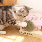 Interactive Mouse Plush Cat Toy – Squeaky Bite-Resistant Kitten Chew Toy