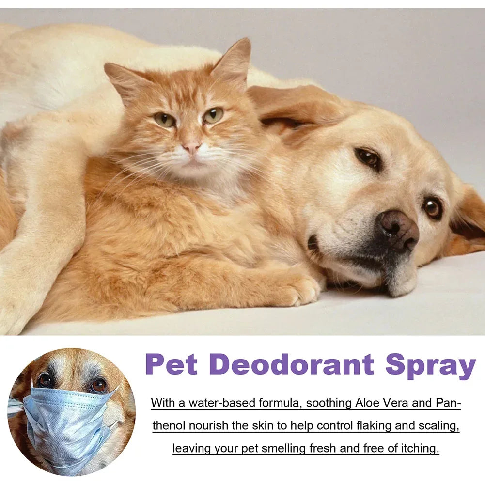 Lavender Pet Deodorizer Spray for Dogs and Cats – Long Lasting Odor Remover & Fresh Scent Perfume Spray 50ml