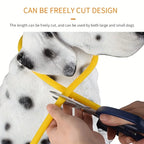 USB Rechargeable LED Dog Collar – Luminous Reflective Anti-Lost Pet Collar for Dogs