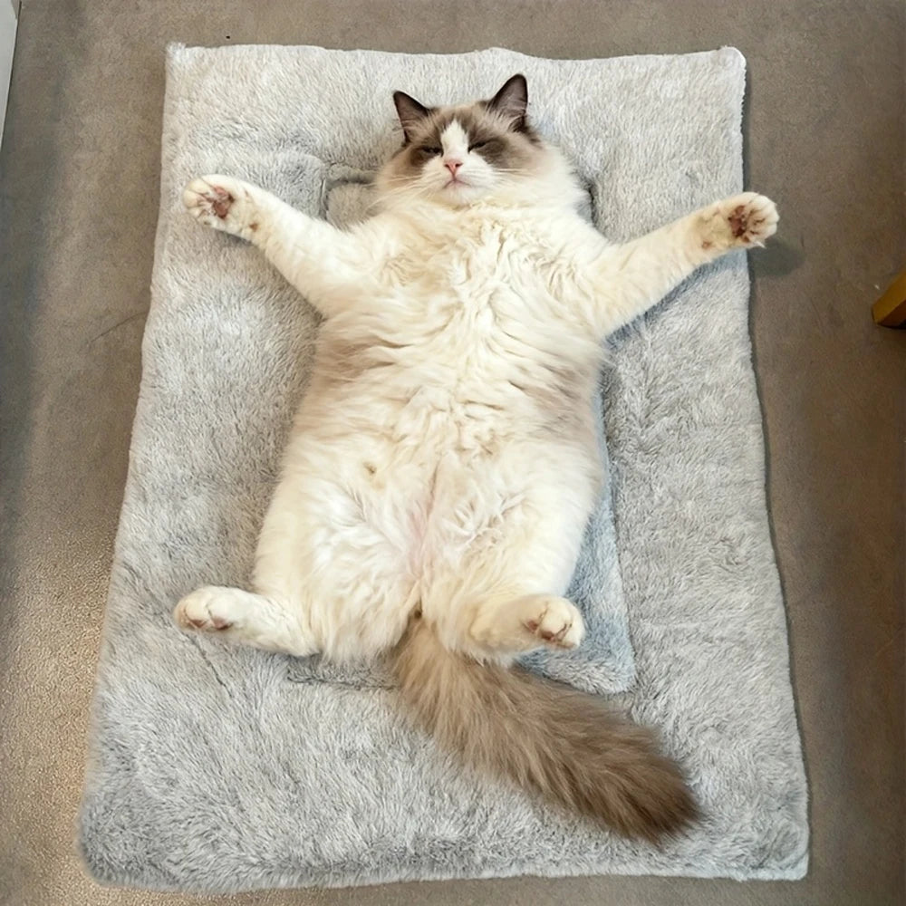 Reversible Plush Winter Pet Bed Mat for Small Animals | Soft Warm Sleeping Pad for Hamsters, Rabbits and Cats
