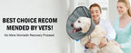 Soft Dog Cone Collar for Large and Extra Large Dogs | Adjustable Recovery E-Collar Alternative After Surgery
