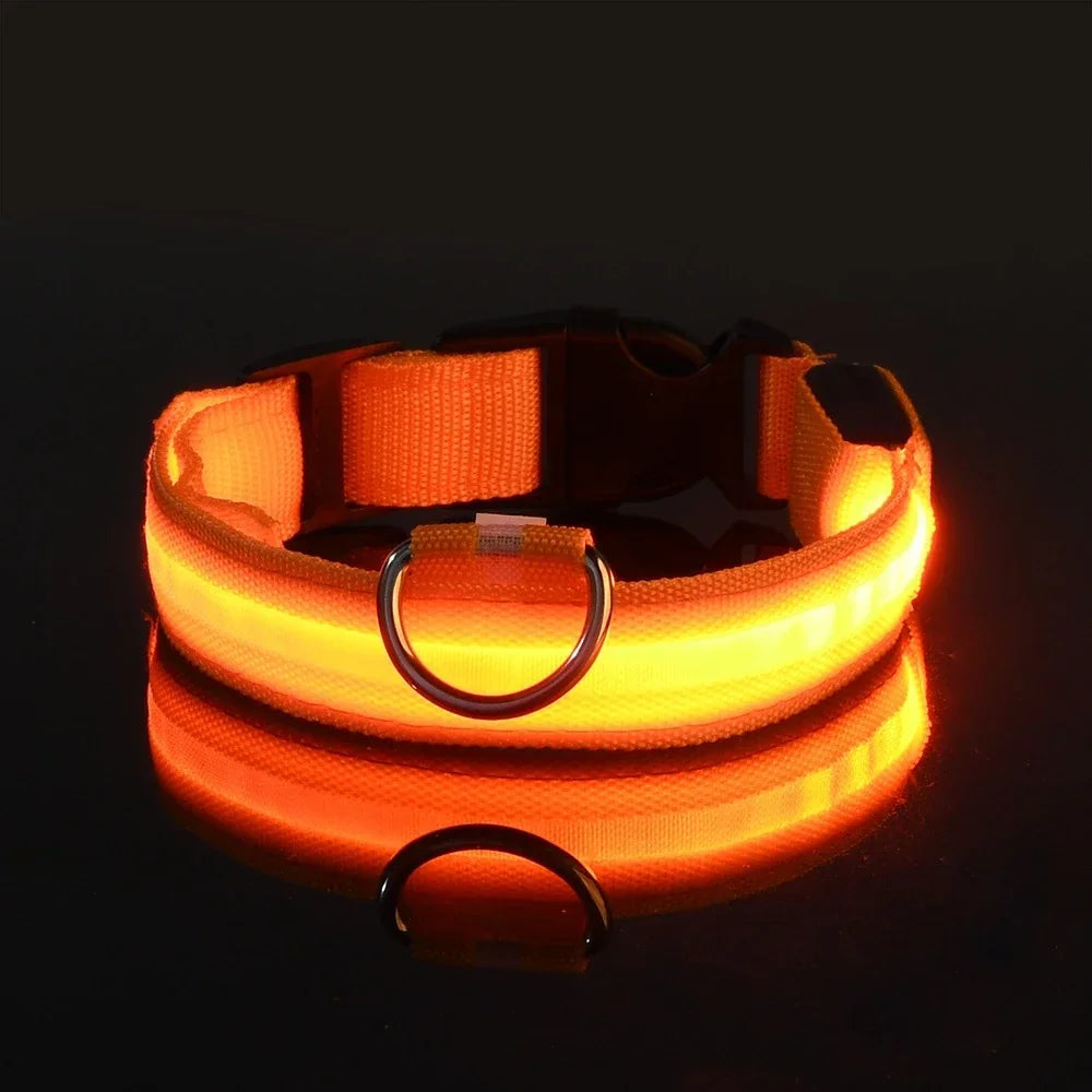 LED Nylon Dog Collar – Flashing Glow in the Dark Night Safety Collar for Dogs