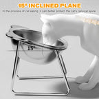 Elevated Stainless Steel Pet Bowl with Stand – Anti-Slip & Neck Support