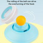 Dog Slow Feeder Lick Bowl with Suction Cup – Anti-Choking Feeding Mat Toy