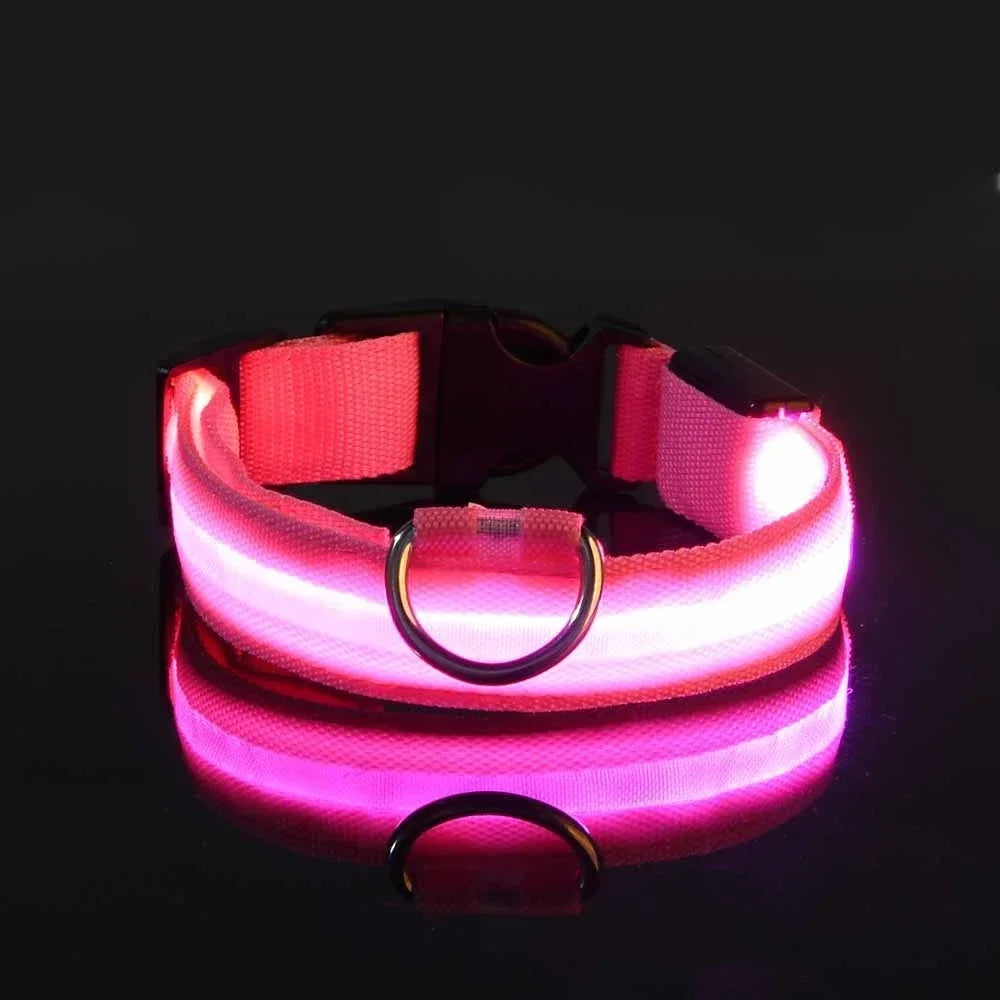 LED Nylon Dog Collar – Flashing Glow in the Dark Night Safety Collar for Dogs