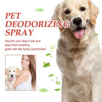 Dog Deodorizer Spray 300ml – Long Lasting Pet Perfume & Odor Remover for Dogs, Puppies & Cats