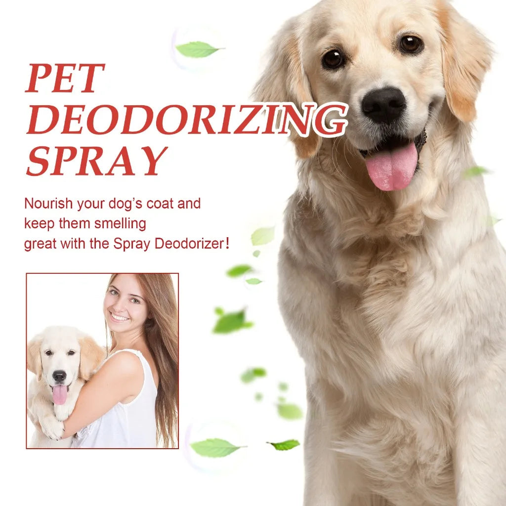 Dog Deodorizer Spray 300ml – Long Lasting Pet Perfume & Odor Remover for Dogs, Puppies & Cats