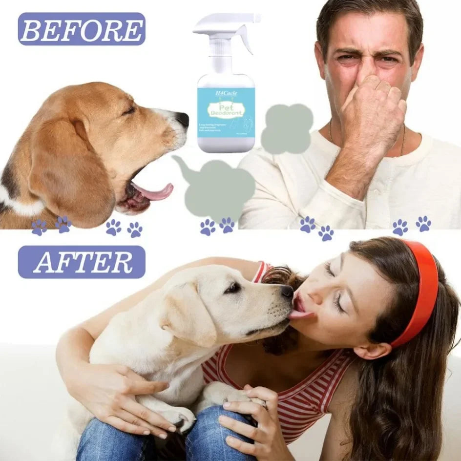 Dog Deodorizer Spray 300ml – Long Lasting Pet Perfume & Odor Remover for Dogs, Puppies & Cats