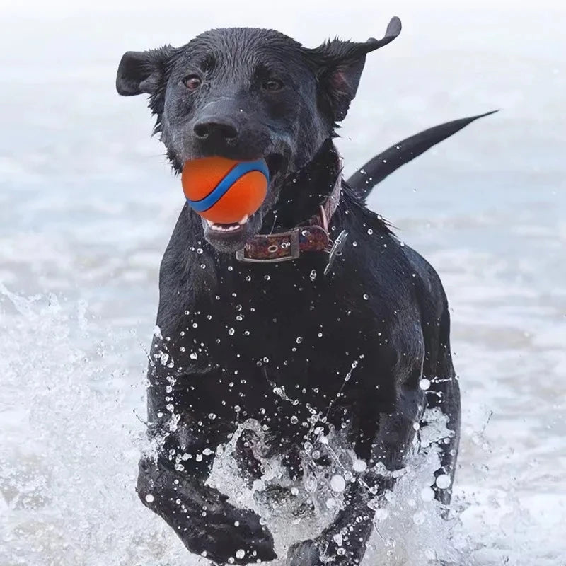 Dog Fetch Ball Toy – Tough Rubber Chew & Elastic Jumping Ball for Large, Medium and Small Dogs