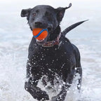 Dog Fetch Ball Toy – Tough Rubber Chew & Elastic Jumping Ball for Large, Medium and Small Dogs