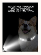 Decorative Choker Dog Collar for Small Puppies – Adjustable Nylon Pet Neck Collar