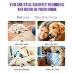 Lavender Pet Deodorization Spray 50ml – Natural Dog and Cat Perfume, Odor Remover & Coat Freshener