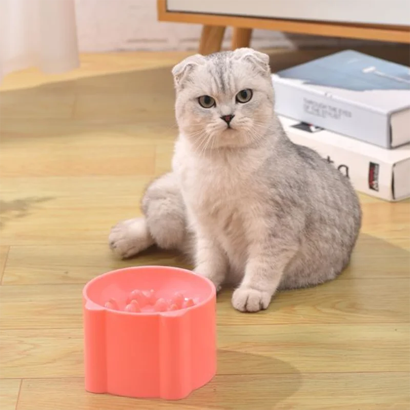 Cat Slow Feeder Bowl – Anti-Choking Neck Protection Feeding Dish for Cats & Small Dogs