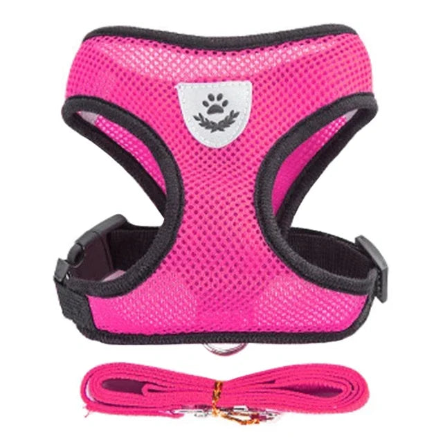 Adjustable Cat and Dog Harness Vest with Leash | Breathable Reflective Mesh Walking Harness for Small Medium Pets