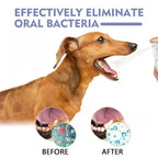 Pet Teeth Cleaning Spray 30ml – Fresh Breath Oral Care & Dental Hygiene Spray for Dogs and Cats