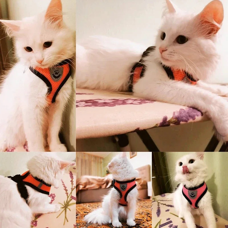 Adjustable Cat and Dog Harness Vest with Leash | Breathable Reflective Mesh Walking Harness for Small Medium Pets
