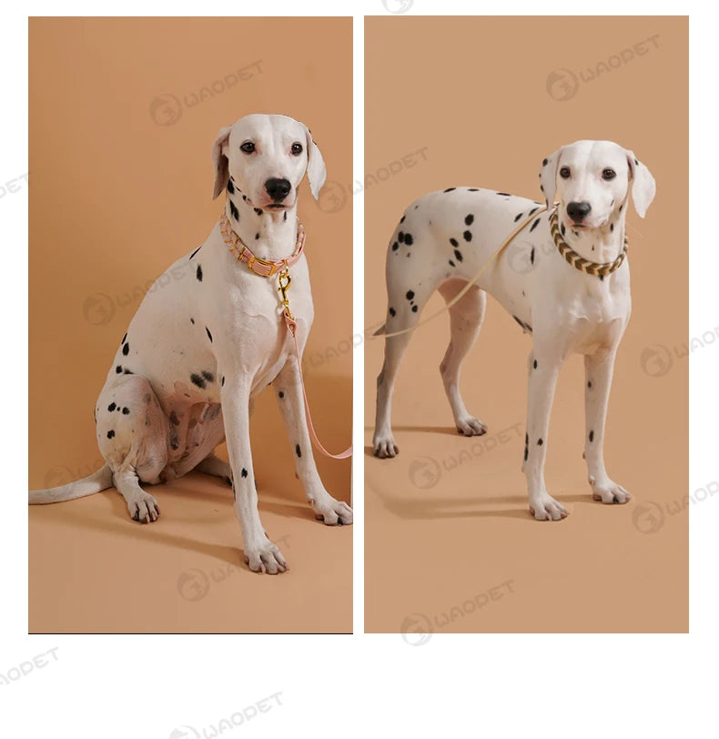 Handmade Fashion Dog Collar for Small Medium and Large Dogs – Colorful Reflective Pet Neck Collar