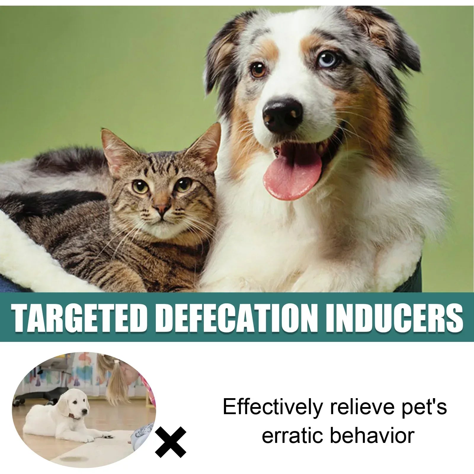 Pet Toilet Training Spray 30ml – Puppy Potty Training Aid & Designated Toilet Area Encouragement Spray for Dogs and Cats