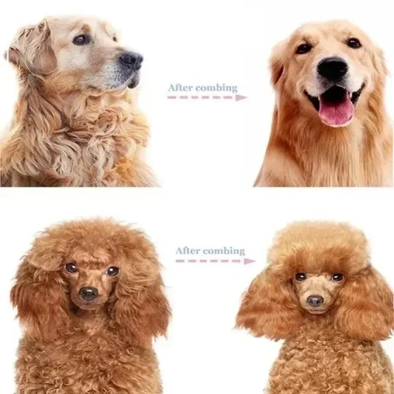 All-in-One Pet Deshedding Brush | Dog & Cat Grooming Tool for Hair Removal & Dematting