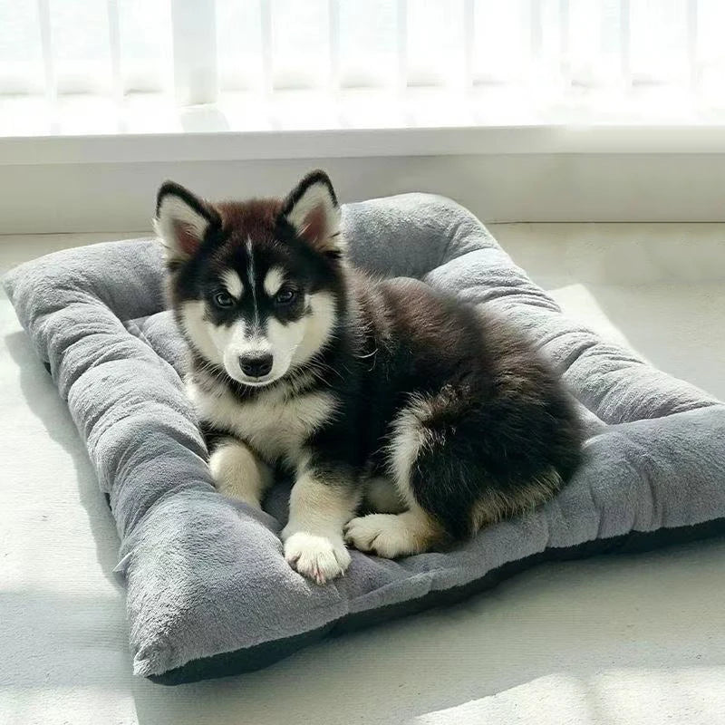 Thickened Winter Warm Pet Bed Nest for Dogs and Cats | Cozy All-Season Sleeping Cushion Mat