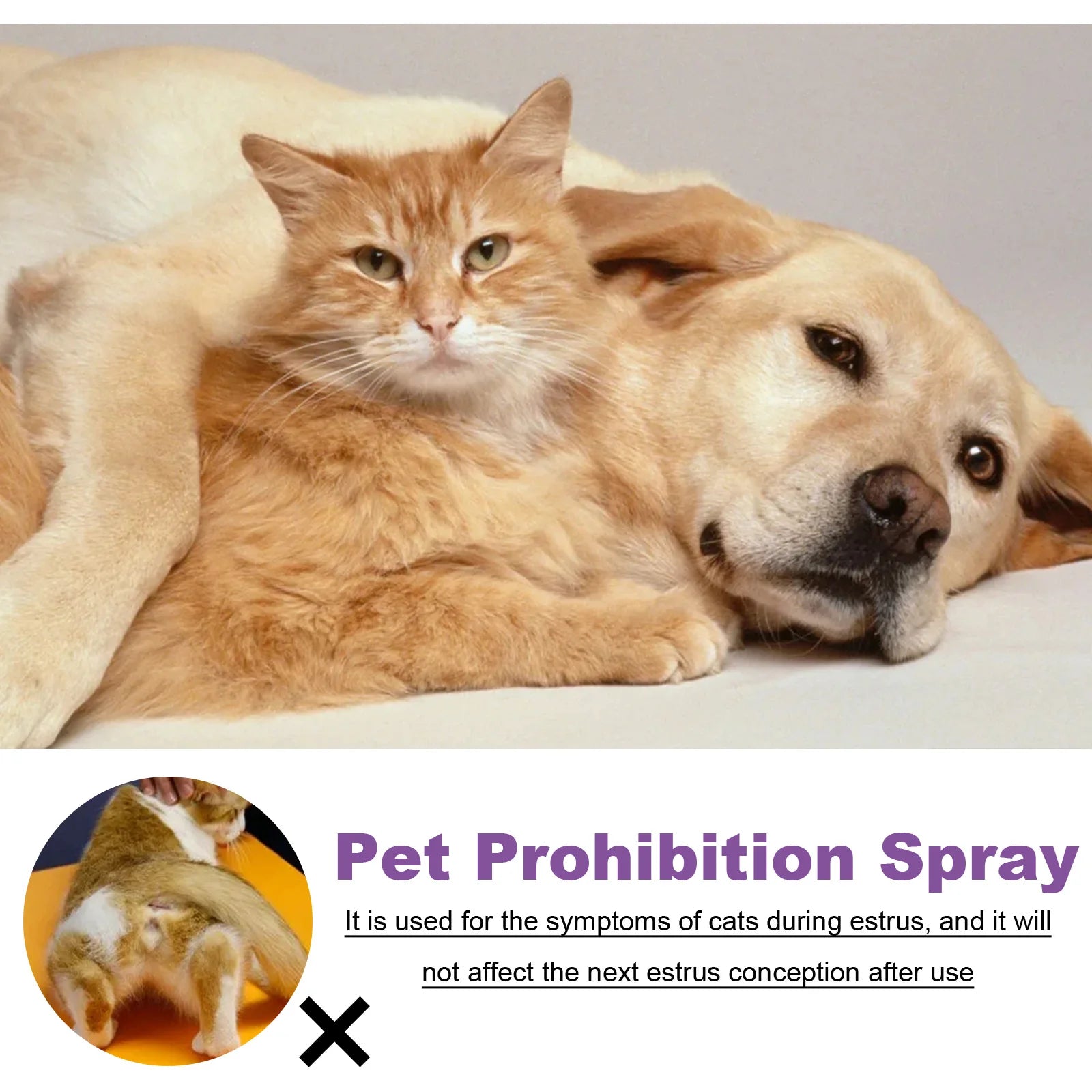 Pet Calming Spray for Dogs and Cats | Pheromone Anxiety Relief and Mood Relaxation Spray