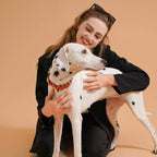 Handmade Fashion Dog Collar for Small Medium and Large Dogs – Colorful Reflective Pet Neck Collar