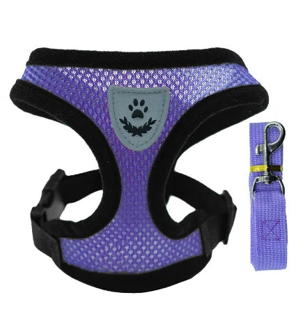 Adjustable Cat and Dog Harness Vest with Leash | Breathable Reflective Mesh Walking Harness for Small Medium Pets