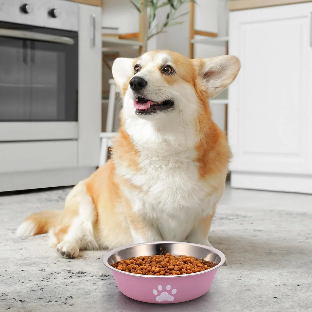 Stainless Steel Dog Bowl with Non-Slip Silicone Base – Food & Water Feeder