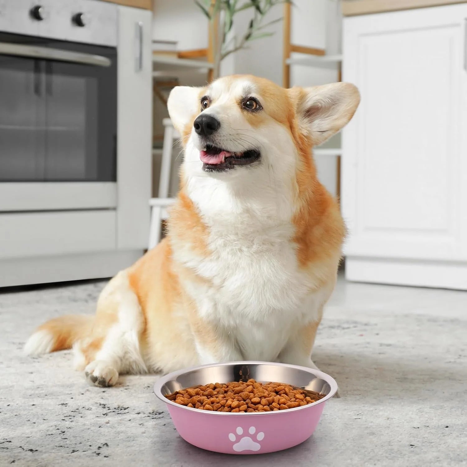 Stainless Steel Dog Bowl with Non-Slip Silicone Base – Food & Water Feeder