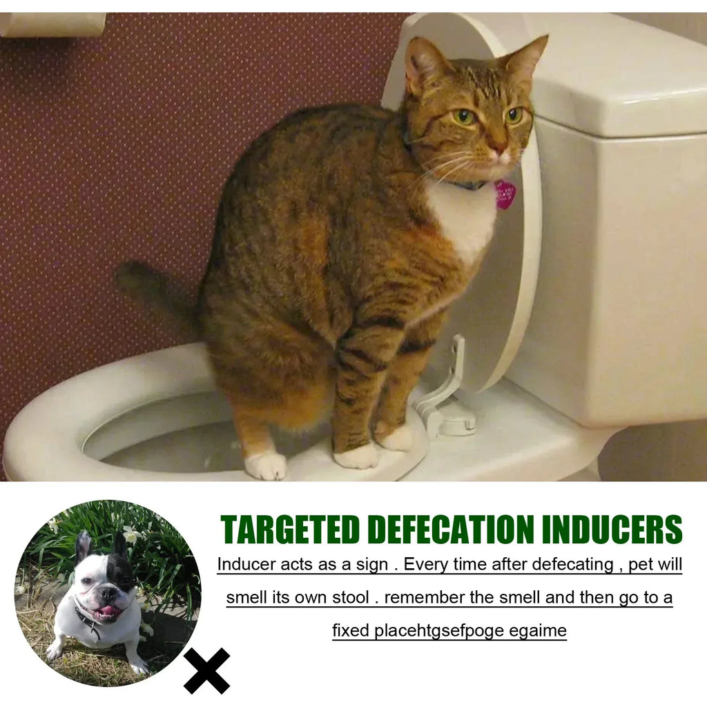 Pet Toilet Training Spray 30ml – Puppy Potty Training Aid & Designated Toilet Area Encouragement Spray for Dogs and Cats