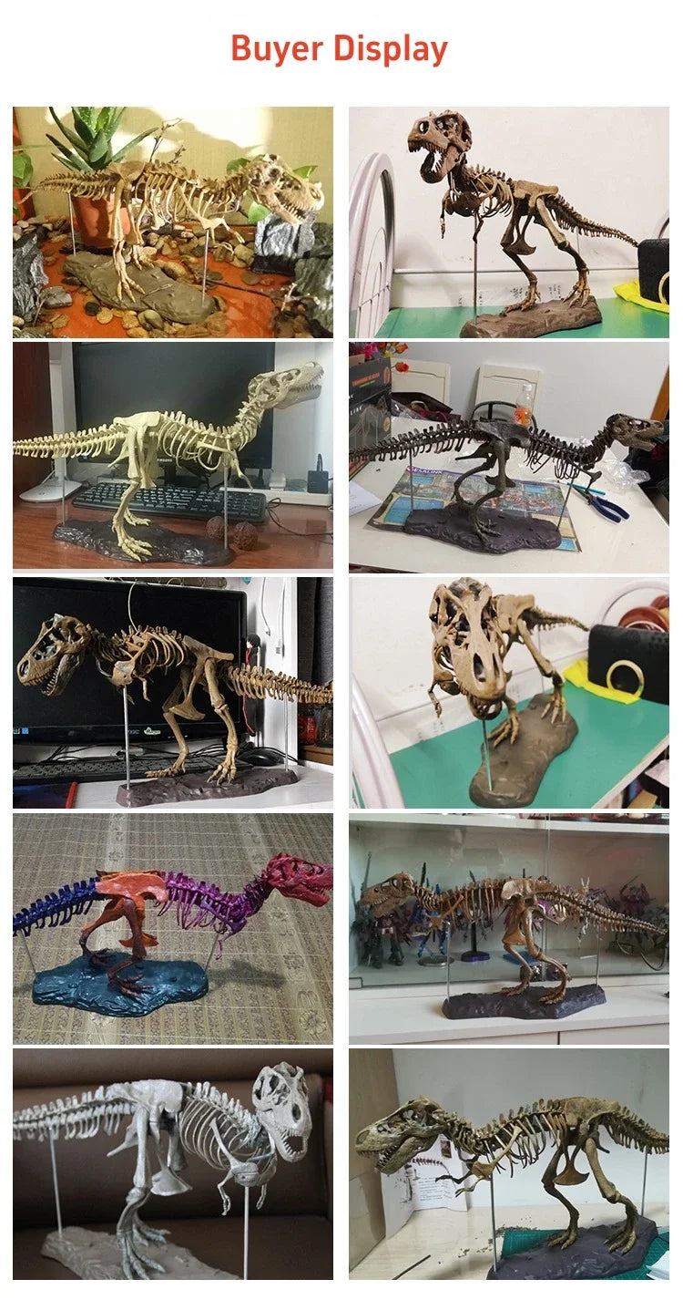 70cm DIY T-Rex Dinosaur Skeleton Model – Jurassic Fossil Assembly Ornament