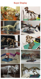 70cm DIY T-Rex Dinosaur Skeleton Model – Jurassic Fossil Assembly Ornament
