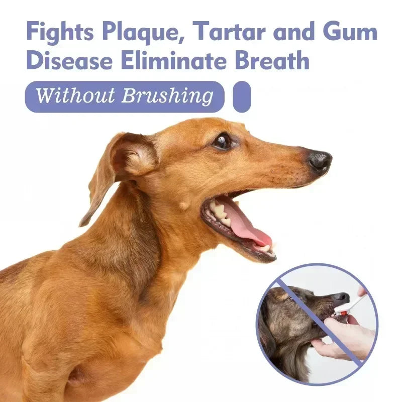 Pet Teeth Cleaning Spray 30ml – Fresh Breath Oral Care & Dental Hygiene Spray for Dogs and Cats