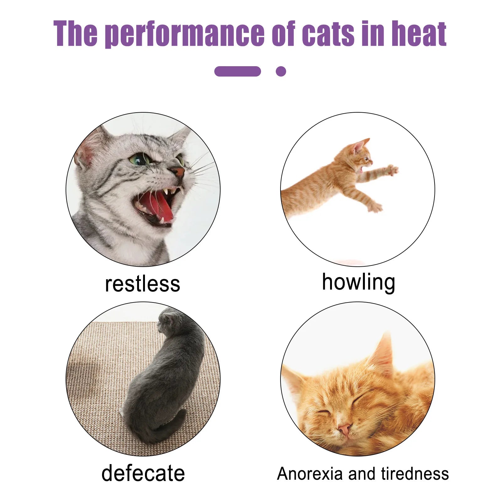Pet Calming Spray for Dogs and Cats | Pheromone Anxiety Relief and Mood Relaxation Spray