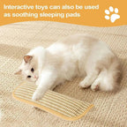 Interactive Cat Scratcher Toy with Catnip Pillow – Sisal Scratching Post, Claw Grinder & Chew Bite Toy for Kittens and Indoor Cats