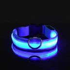 LED Nylon Dog Collar – Flashing Glow in the Dark Night Safety Collar for Dogs
