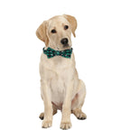 Christmas Plaid Dog Collar with Bow Tie and Snowflake Design | Adjustable Holiday Pet Collar for Small Large Dogs and Cats